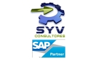 Consultores Syv