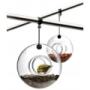 bird-feeder_2