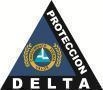 Vigilancia y Protección Delta, S.a. de C.v.