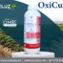 OXICURE