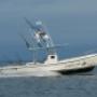 Embarcación para pesca deportiva 34 pies