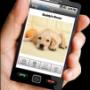 movil