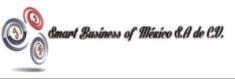 Jjb Smart Business Of Mexico SA de Cv