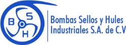 Bombas Sellos y Hules Industriales SA de Cv