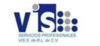 Servicios Profesionales Viz S de rl de Cv