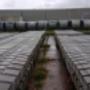 Durmientes 2