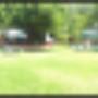 JARDIN 3