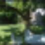 JARDIN 6