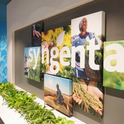 WALL-GRAPHICS