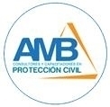 AMB CONSULTORES Y CAPACITADORES