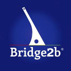 Consultoría Empresarial Bridge2b