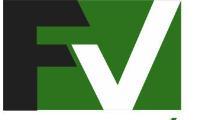 Factor Vision S.a de C.v
