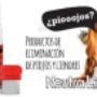 NeutraLice, contra los piojos by ByePiojos.com