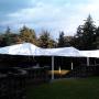 Carpas elegantes