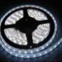TIRA DE LED