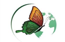 Morphos Recycling