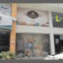 Vinil y micro perforado en Cuernavaca