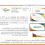 Investigación
