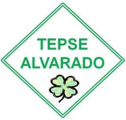 Transportes Escolares Alvarado
