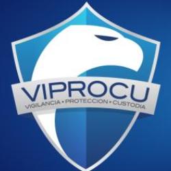 Viprocu Seguridad Electronica