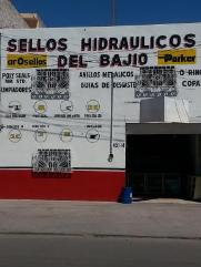 Sellos Hidraulicos Del Bajio