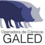 galed