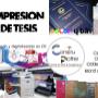 tesis