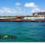 MUELLE