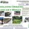 Bancas-de-Plastico