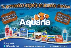 Aquaria
