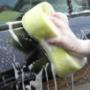 Sponge