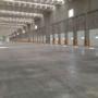 Bodegas