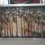 Subido por visitante en 08/03/2017 - medidas de 90 cm x 180 cm