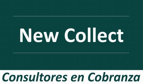 Consultores en Cobranza New Collect, S.C.