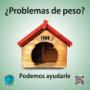 Obesidad