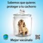 Protégelo