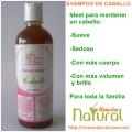 Shampoo de caballo