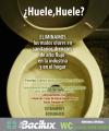 Bacterias para eliminación de olores