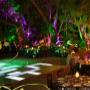iluminación de arboles