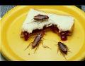 Cucarachas.