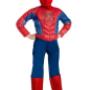 Disfraz de Spiderman.