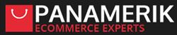 Panamerik Agencia Web
