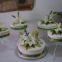 Tema: Lilis y verde limón