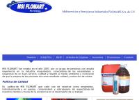 Sitio web de MSI Flomart