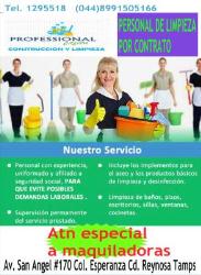 Professional clean