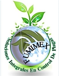 FUMIMEX