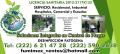 FUMIGACION Y CONTROL DE PLAGAS