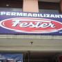 Fester Toluca