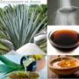 Néctar, jarabe, fibra sust de azúcar de agave