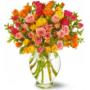 FLORES